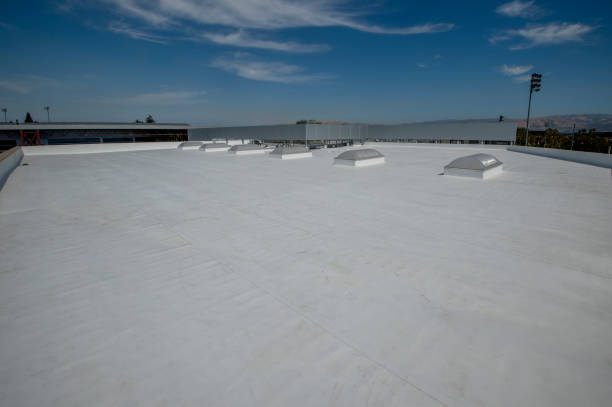 Best Roof Coating and Sealing  in New Brunswick, NJ